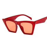 Fashion Square Sunglasses